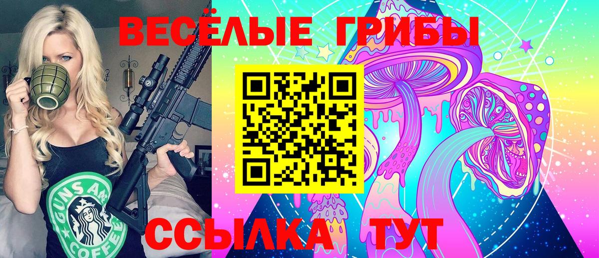 Галлюциногенные грибы Psilocybine cubensis Сорочинск
